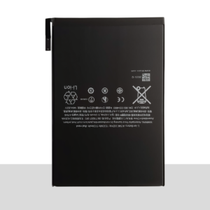 BT-ACC iPad